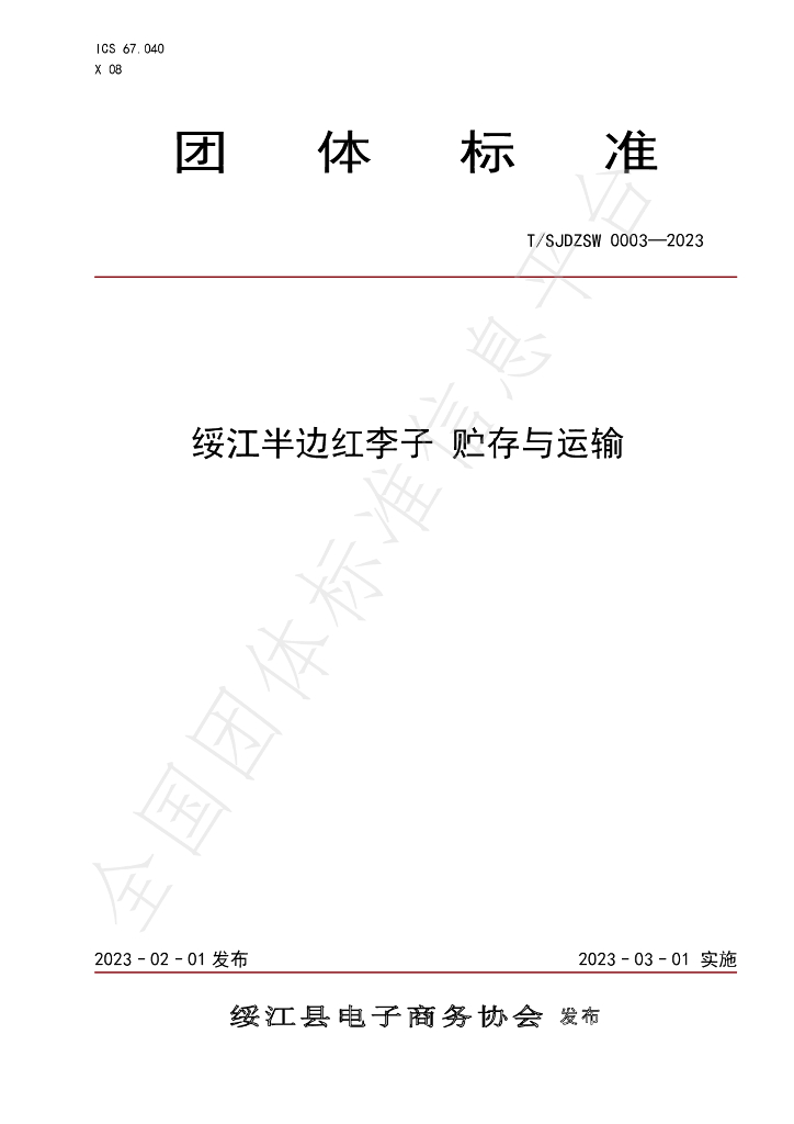 T/SJDZSW 003-2023 标准预览