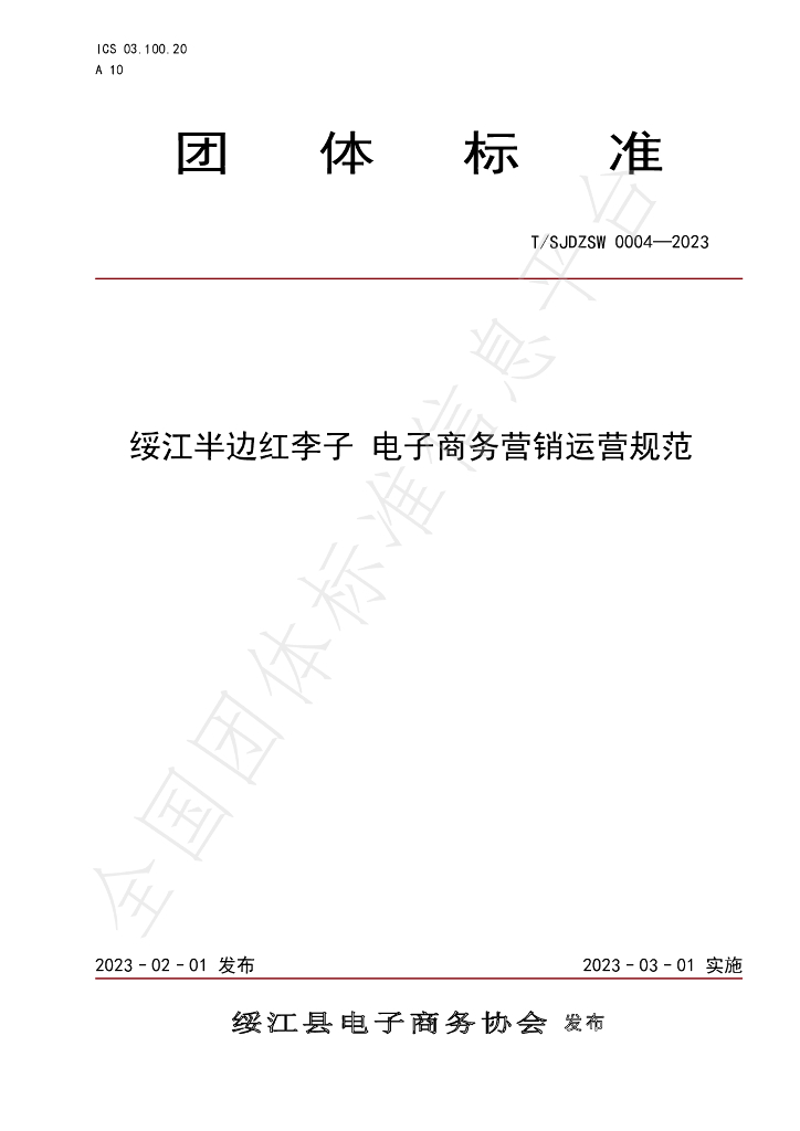 T/SJDZSW 0004-2023 标准预览
