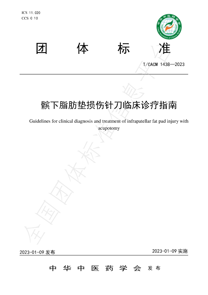 T/CACM 1438-2023 标准预览