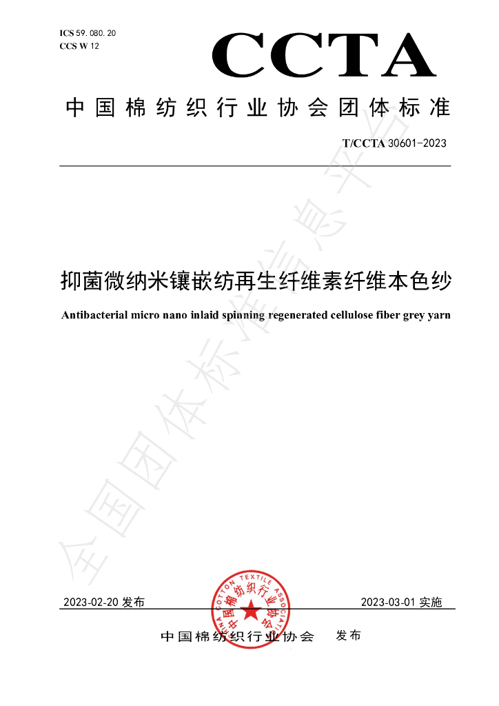 T/CCTA 30601-2023 标准预览