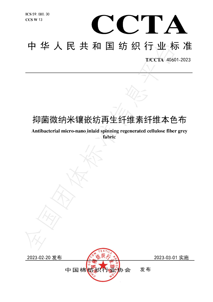 T/CCTA 40601-2023 标准预览