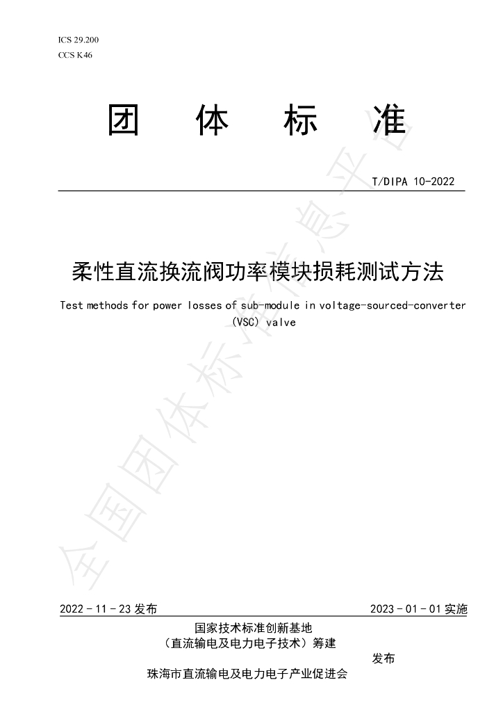 T/DIPA 10-2022 标准预览