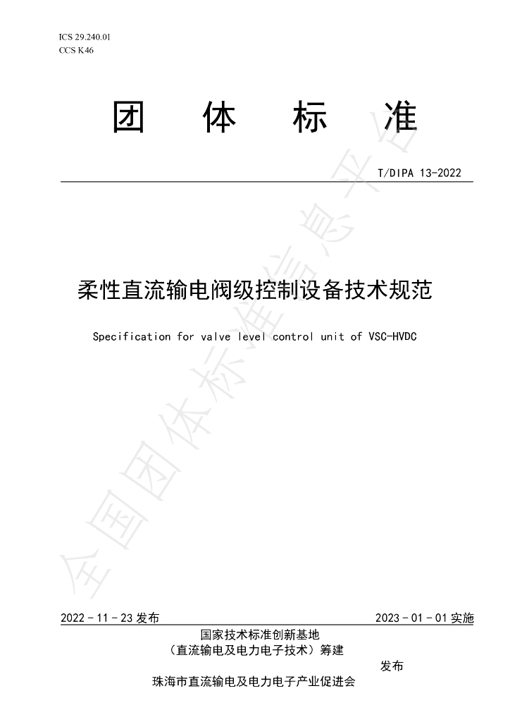 T/DIPA 13-2022 标准预览