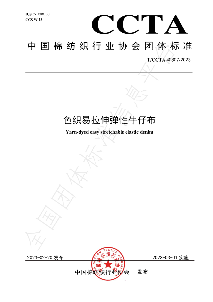T/CCTA 40807-2023 标准预览