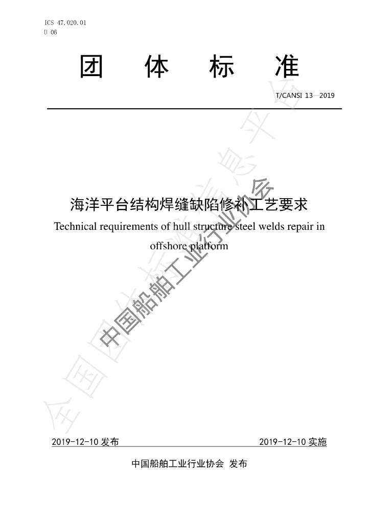 T/CANSI 13-2019 标准预览