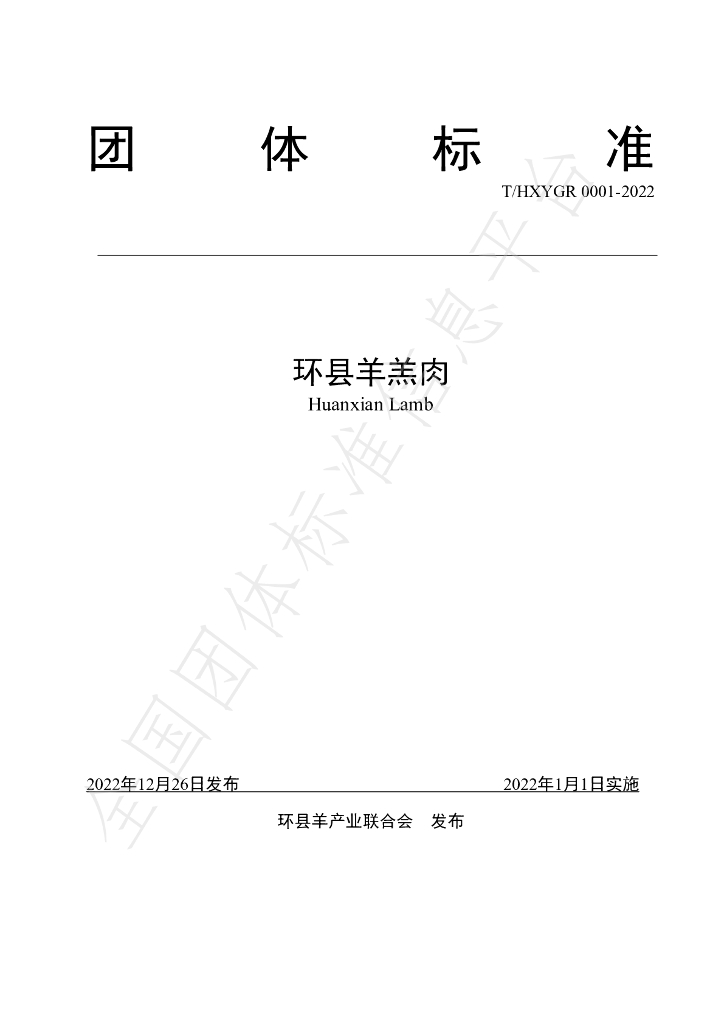 T/HY 0001-2023 标准预览