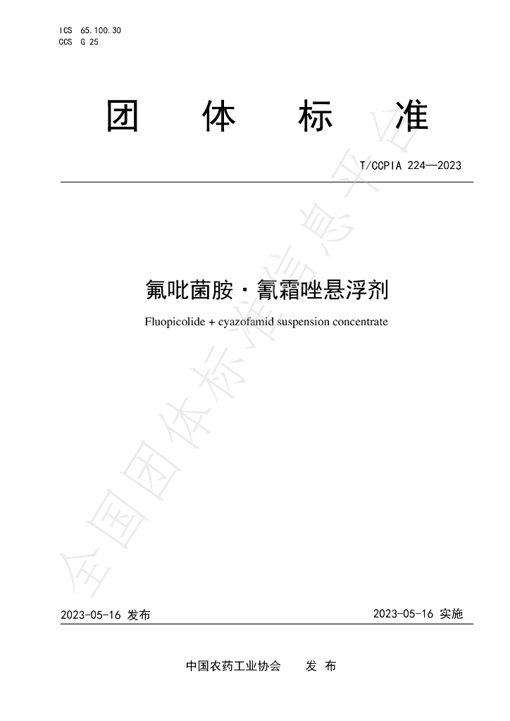 T/CCPIA 224-2023 标准预览