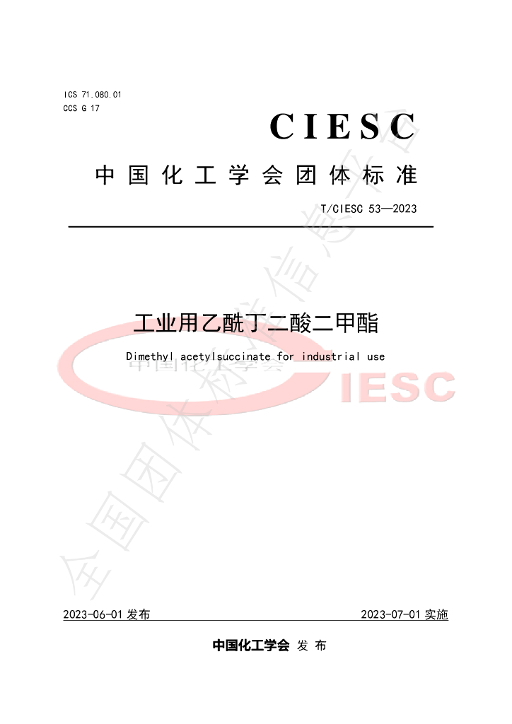 T/CIESC 53-2023 标准预览