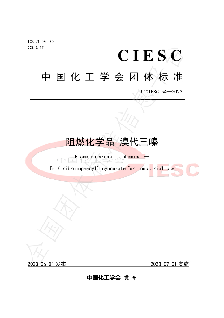T/CIESC 54-2023 标准预览