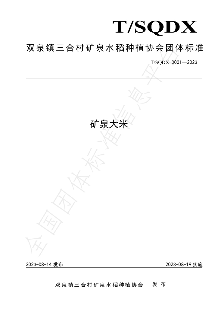 T/SQDX 0001-2023 标准预览