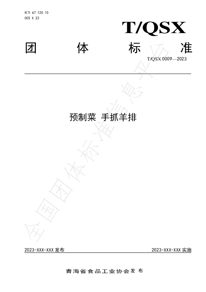 T/QSX 0009-2023 标准预览