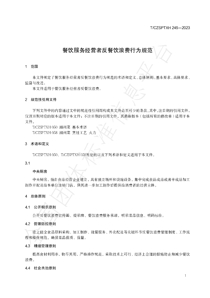 T/CZSPTXH 245-2023 标准预览
