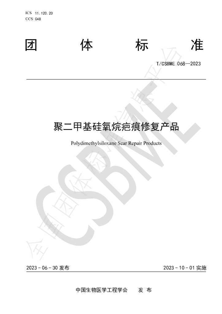 T/CSBME 068-2023 标准预览