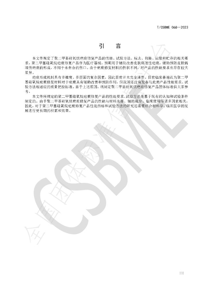 T/CSBME 068-2023 标准预览