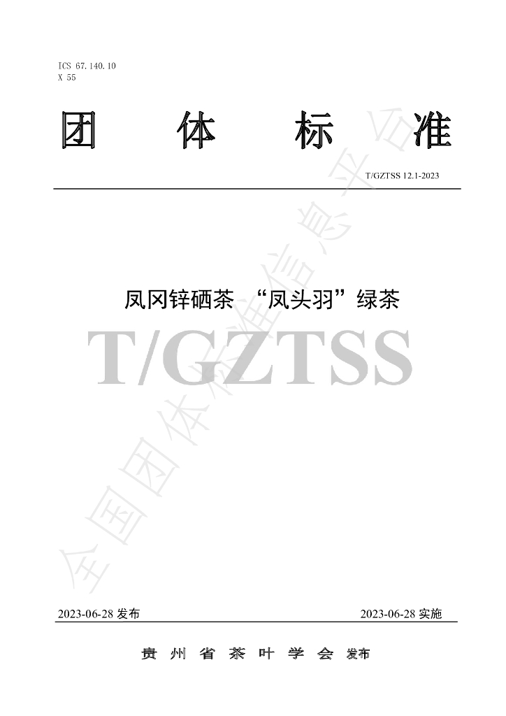 T/GZTSS 12.1-2023 标准预览