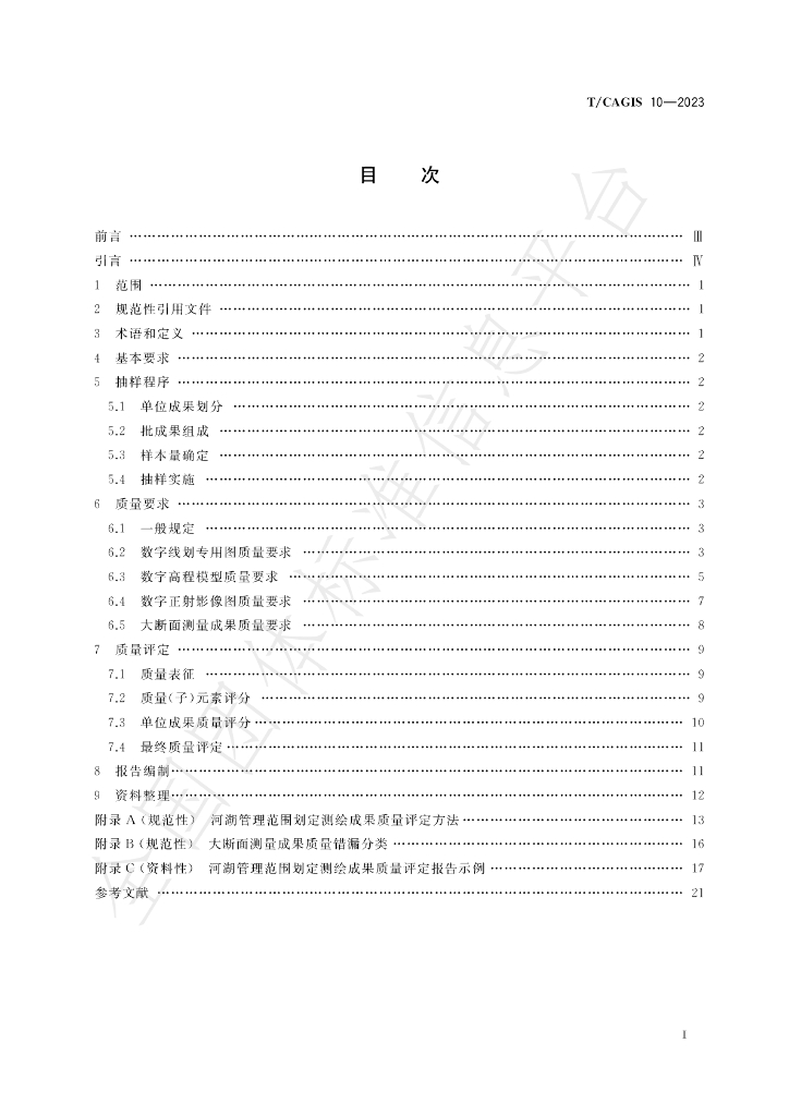 T/CAGIS 10-2023 标准预览