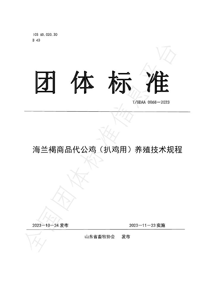 T/SDAA 0068-2023 标准预览