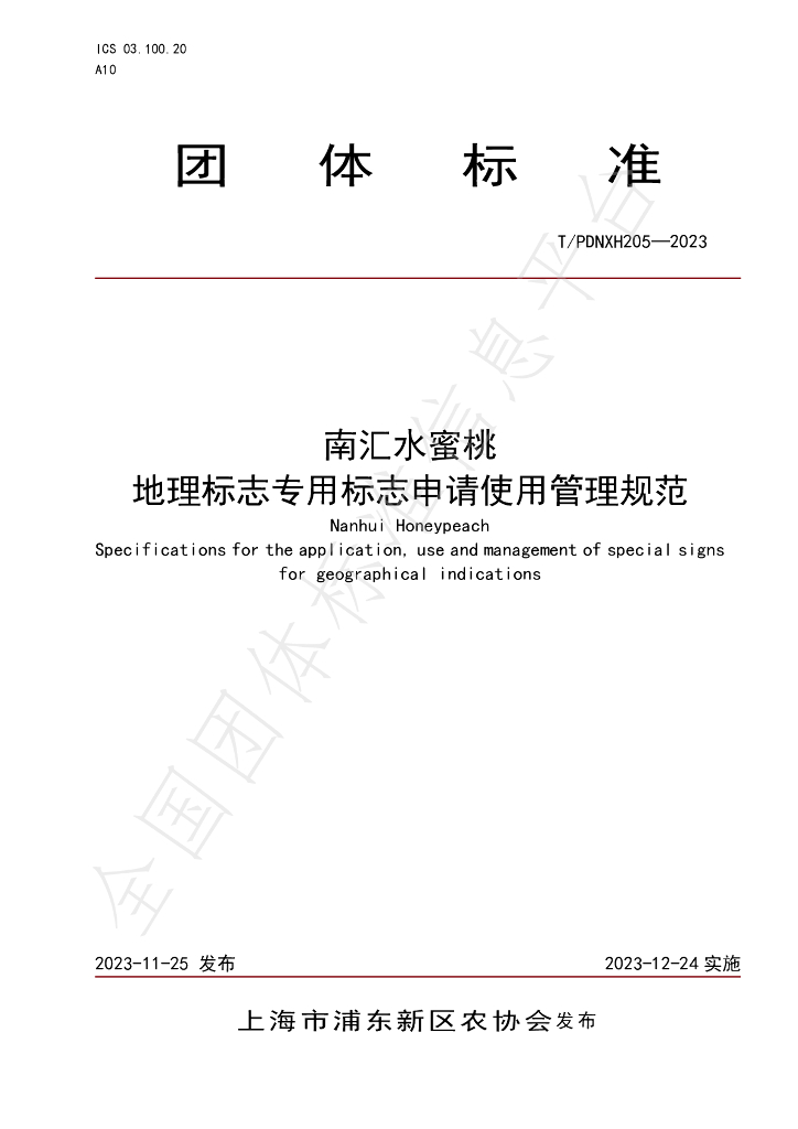 T/PDNXH 205-2023 标准预览