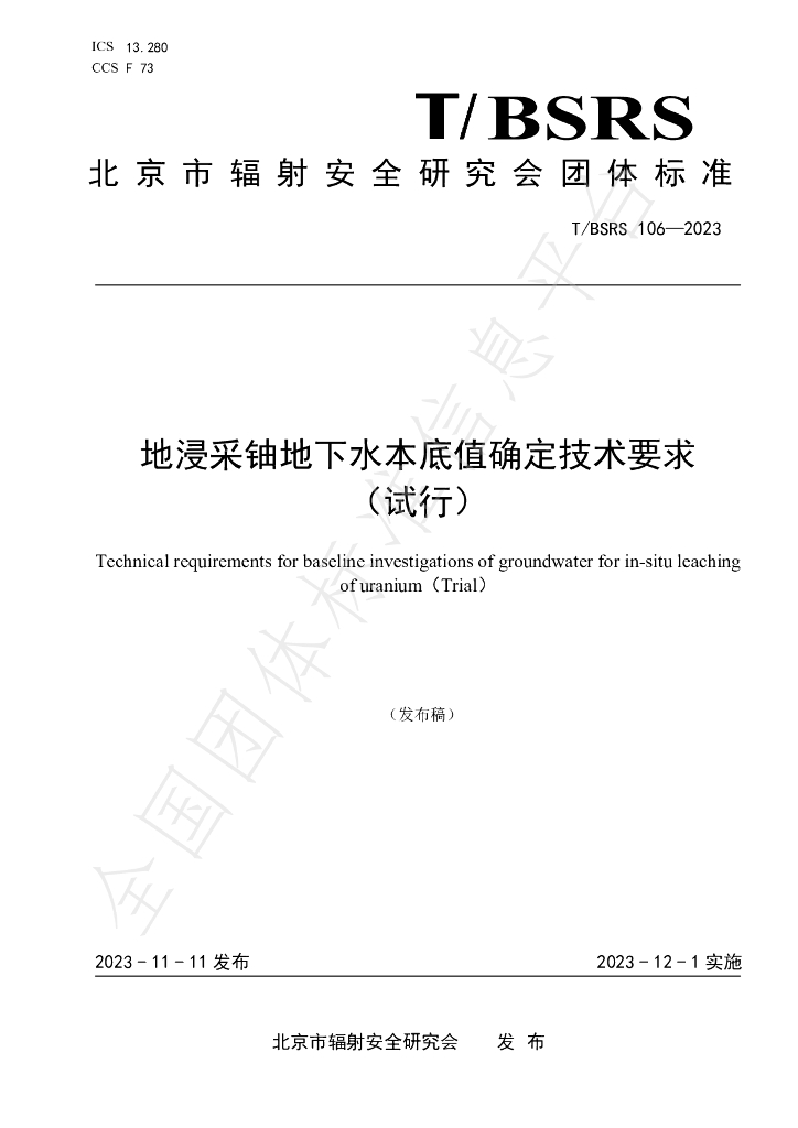 T/BSRS 106-2023 标准预览