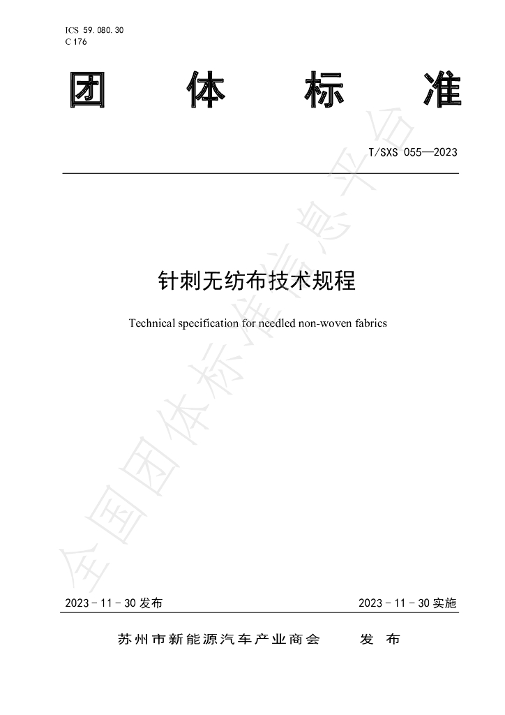 T/SXS 055-2023 标准预览