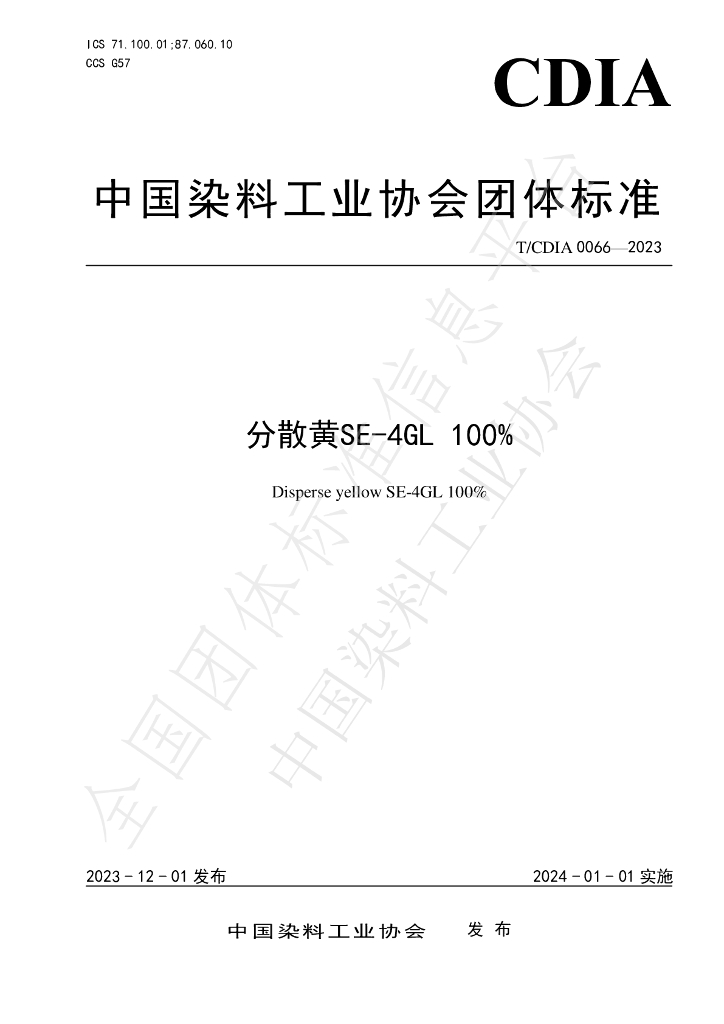 T/CDIA 0066-2023 标准预览