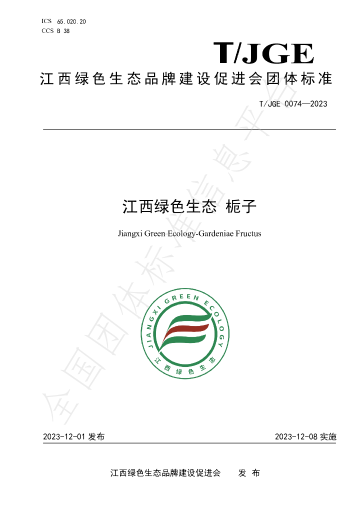 T/JGE 0074-2023 标准预览