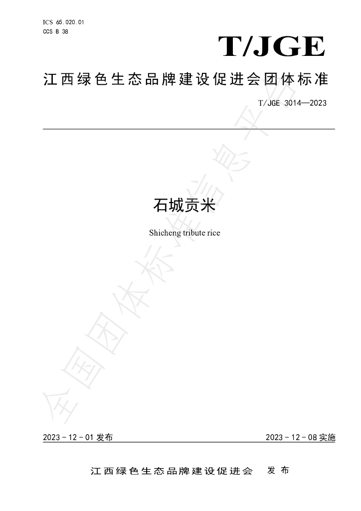 T/JGE 3014-2023 标准预览