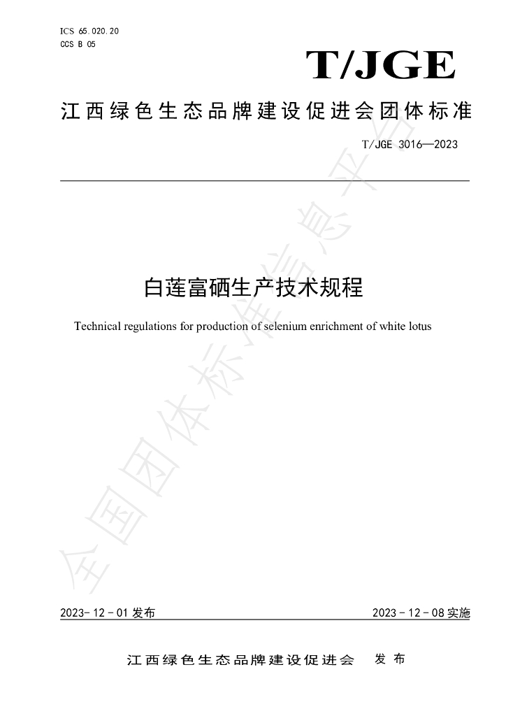 T/JGE 3016-2023 标准预览