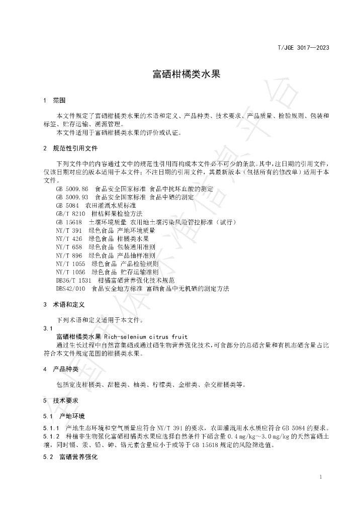 T/JGE 3017-2023 标准预览