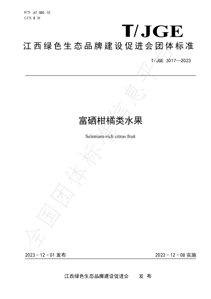 T/JGE 3017-2023 标准预览