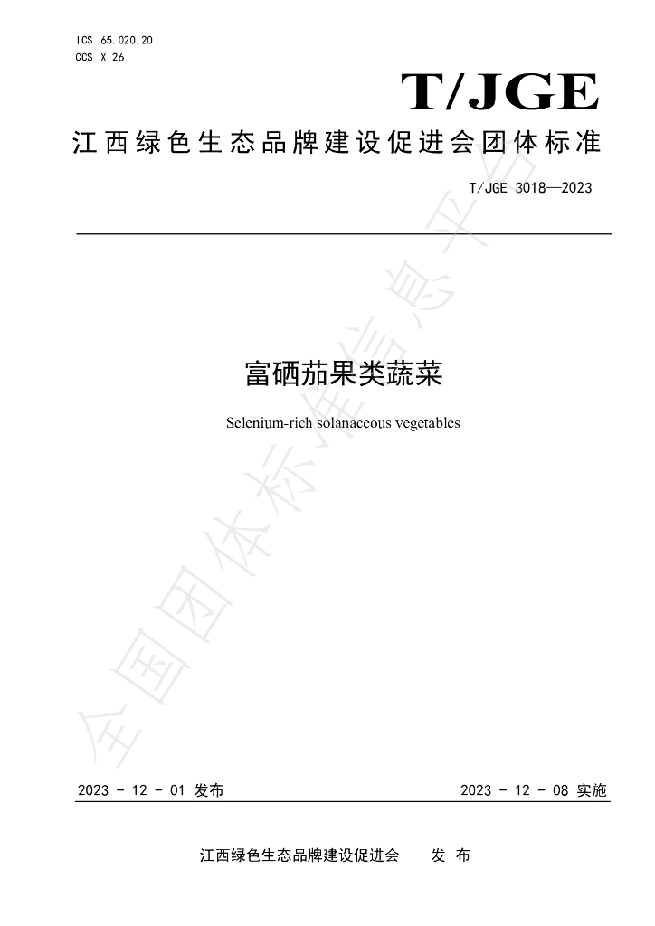 T/JGE 3018-2023 标准预览