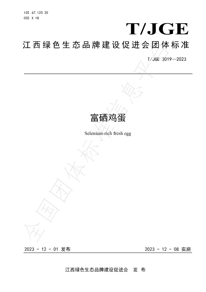 T/JGE 3019-2023 标准预览