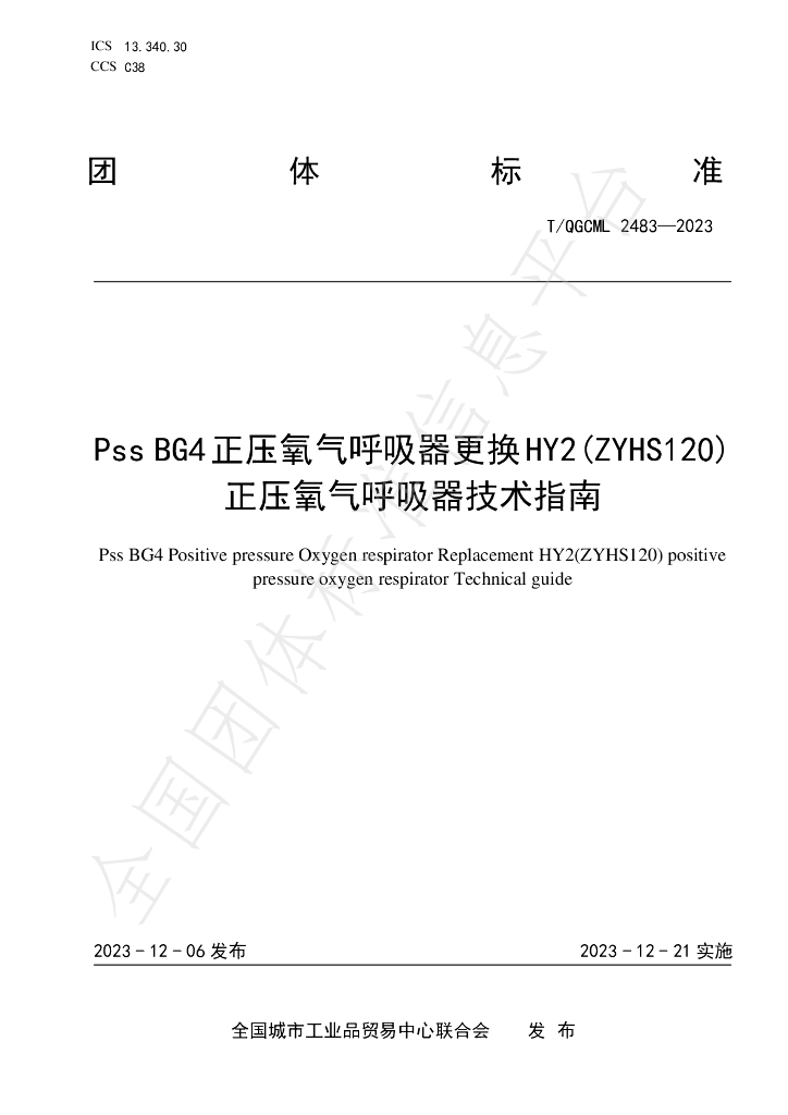 T/QGCML 2483-2023 标准预览