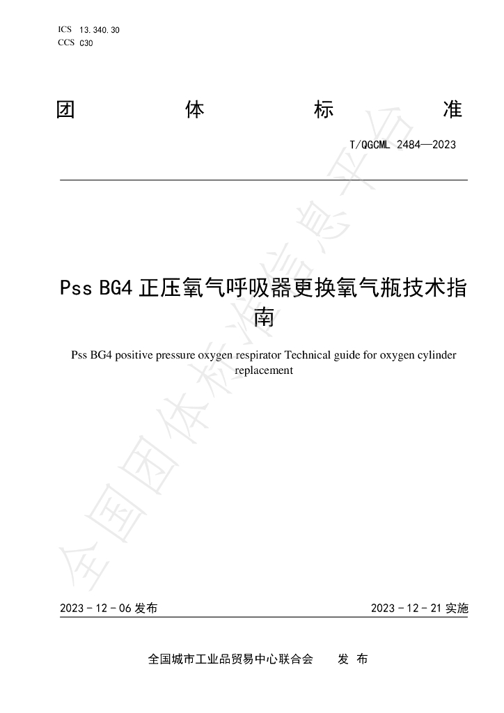 T/QGCML 2484-2023 标准预览