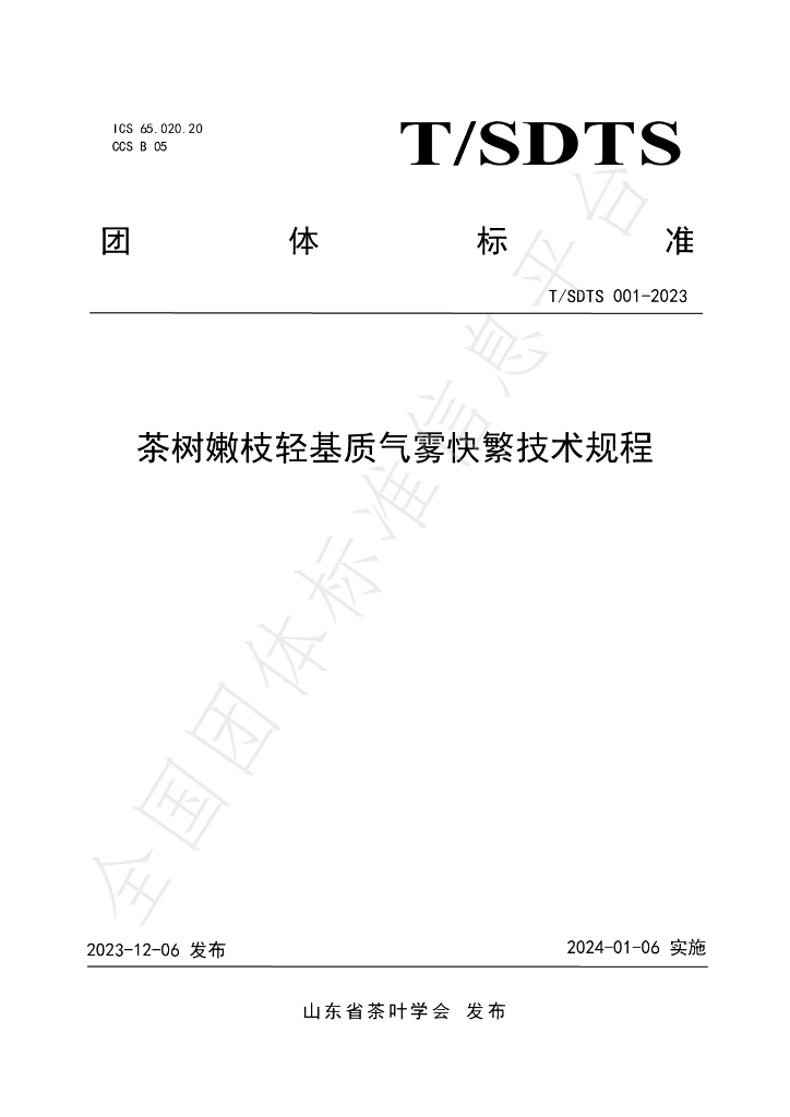 T/SDTS 001-2023 标准预览