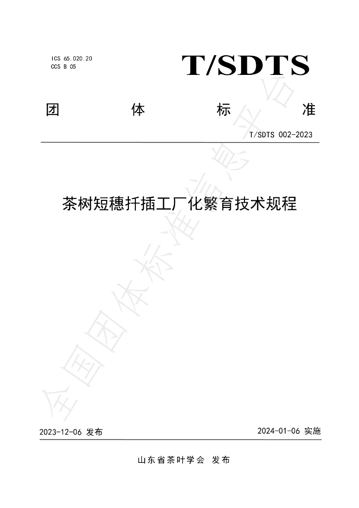 T/SDTS 002-2023 标准预览