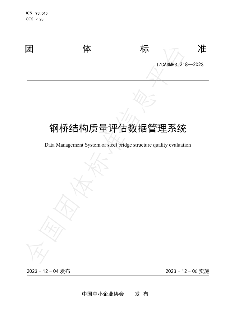 T/CASMES 218-2023 标准预览