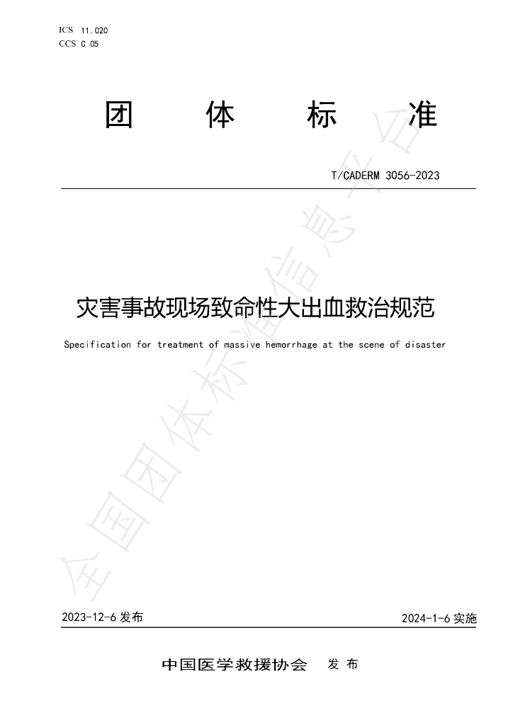 T/CADERM 3056-2023 标准预览