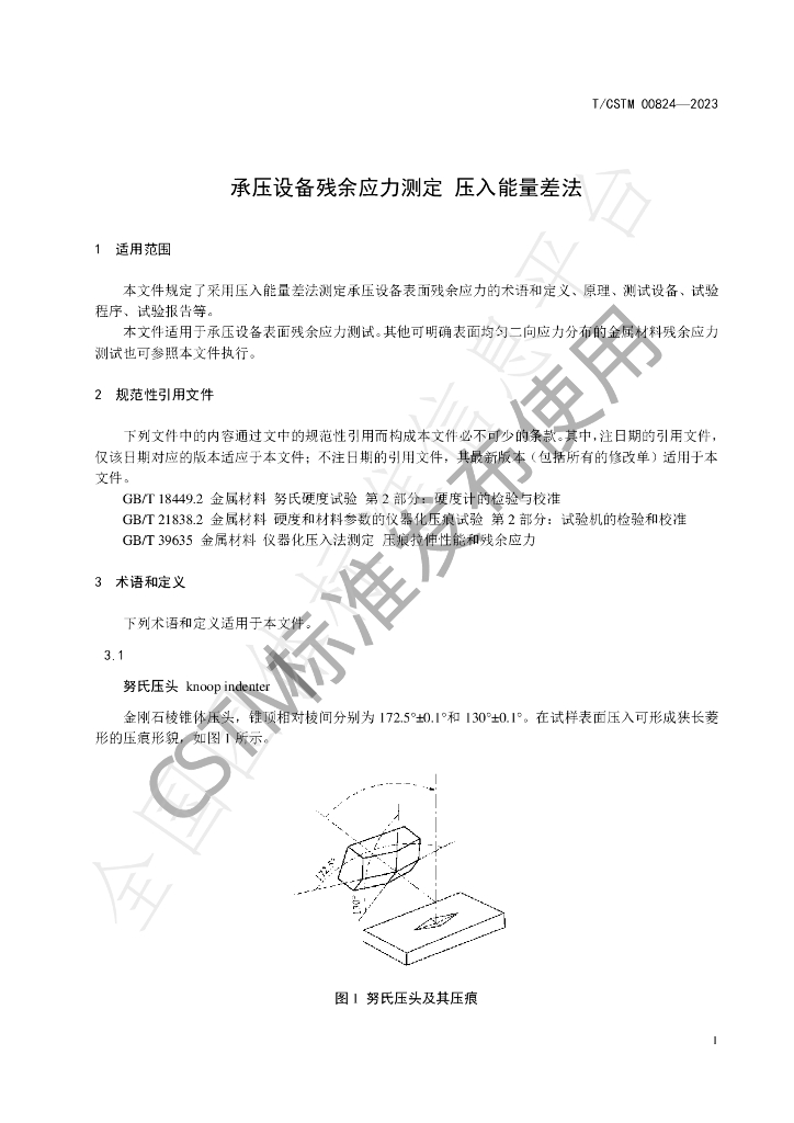 T/CSTM 00824-2023 标准预览