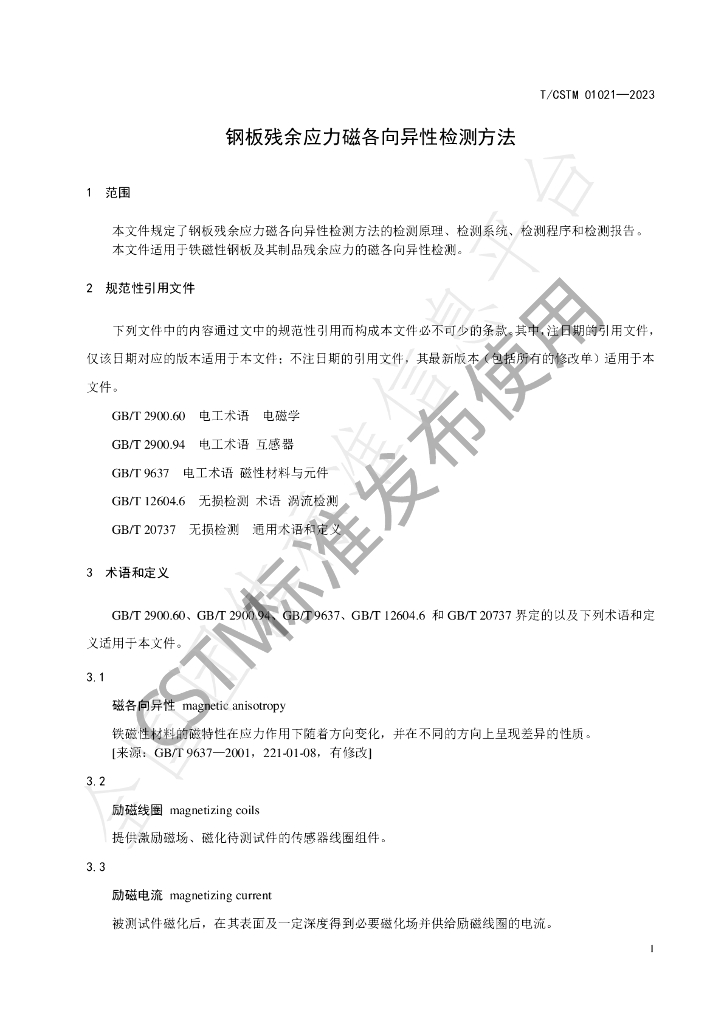 T/CSTM 01021-2023 标准预览