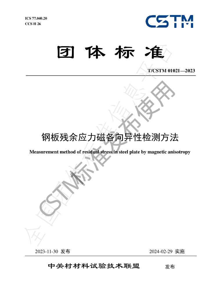 T/CSTM 01021-2023 标准预览