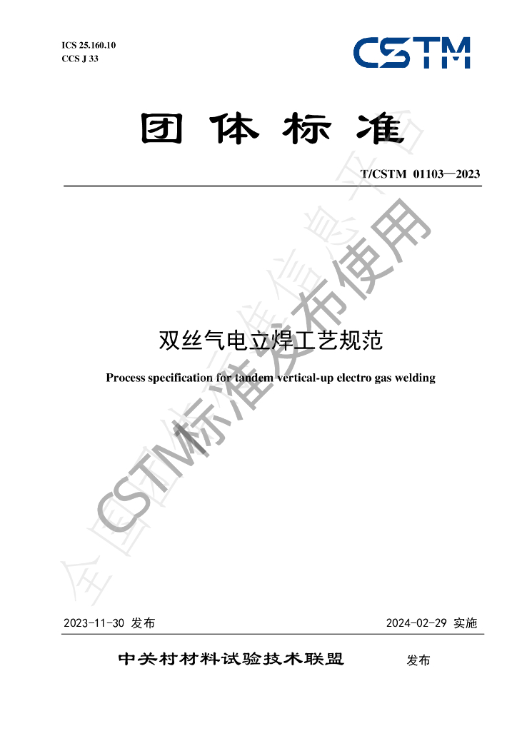 T/CSTM 01103-2023 标准预览