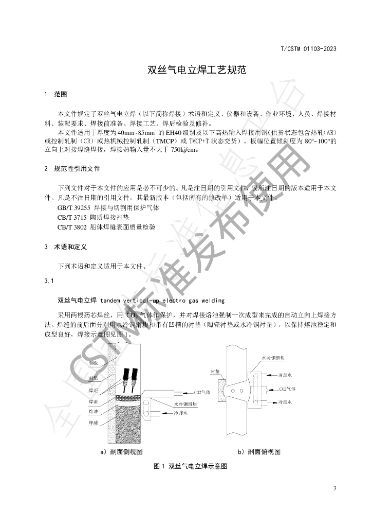 T/CSTM 01103-2023 标准预览