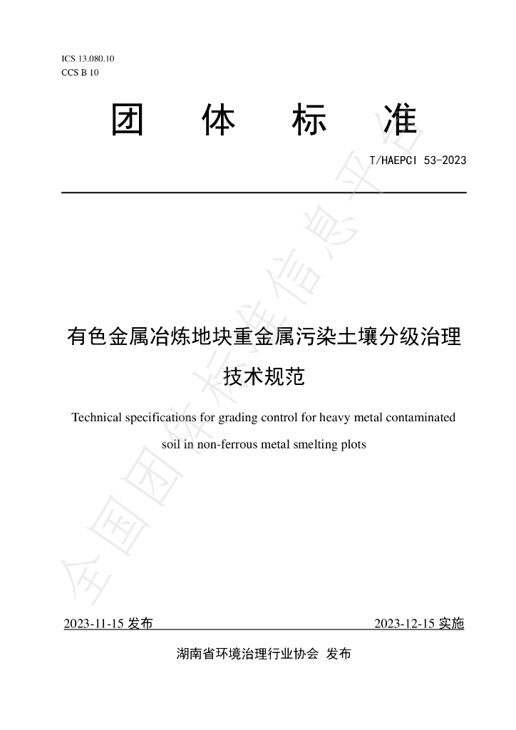 T/HAEPCI 53-2023 标准预览