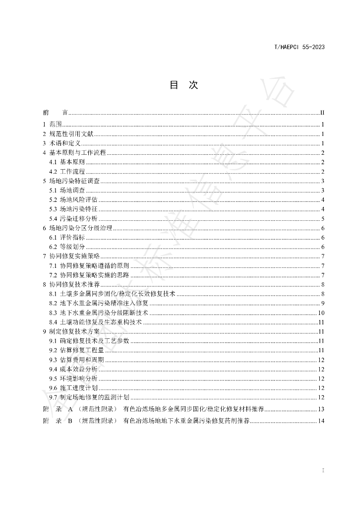 T/HAEPCI 55-2023 标准预览