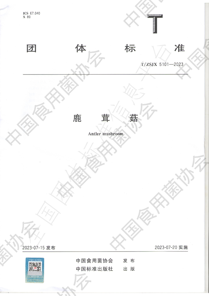 T/ZSJX 5101-2023 标准预览