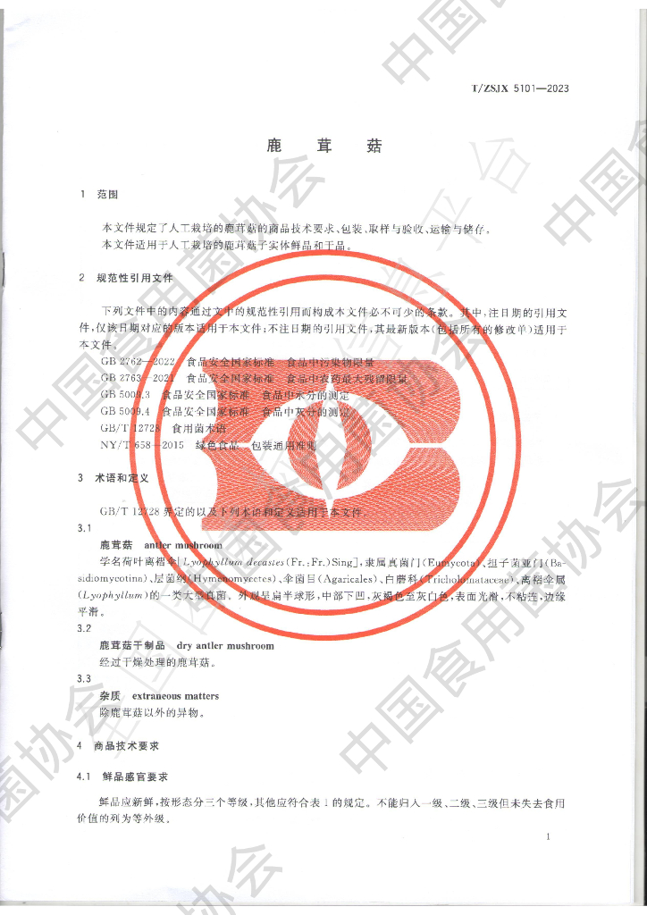 T/ZSJX 5101-2023 标准预览