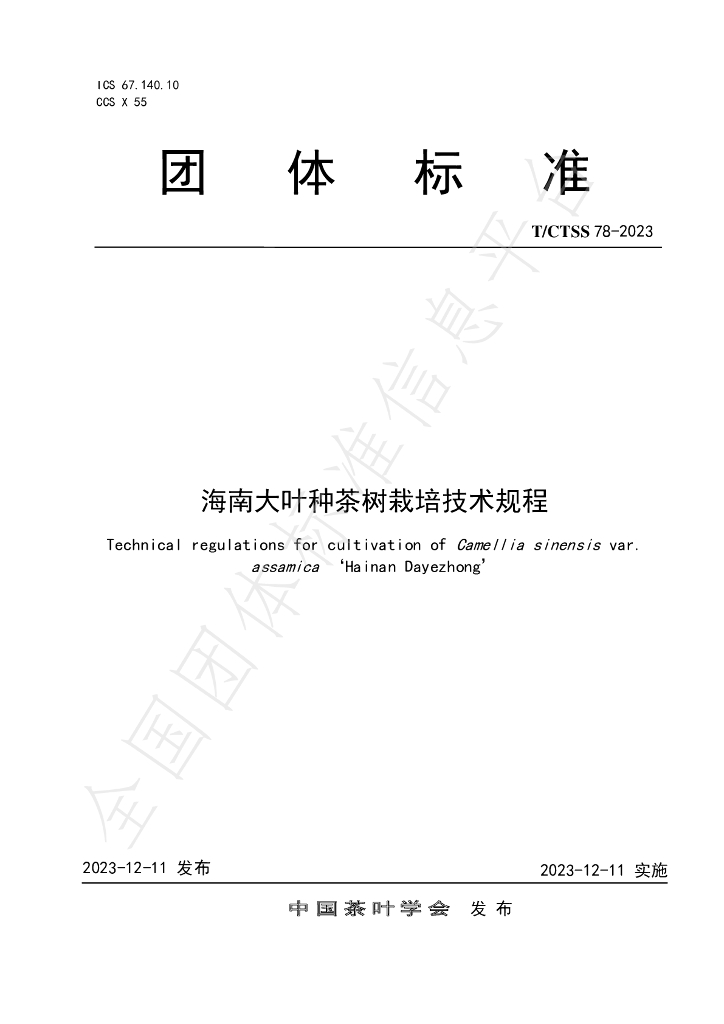 T/CTSS 78-2023 标准预览