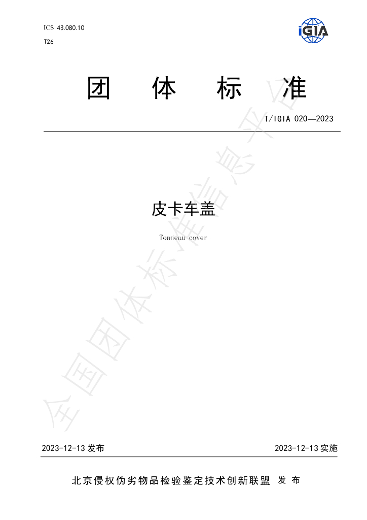 T/IGIA 020-2023 标准预览