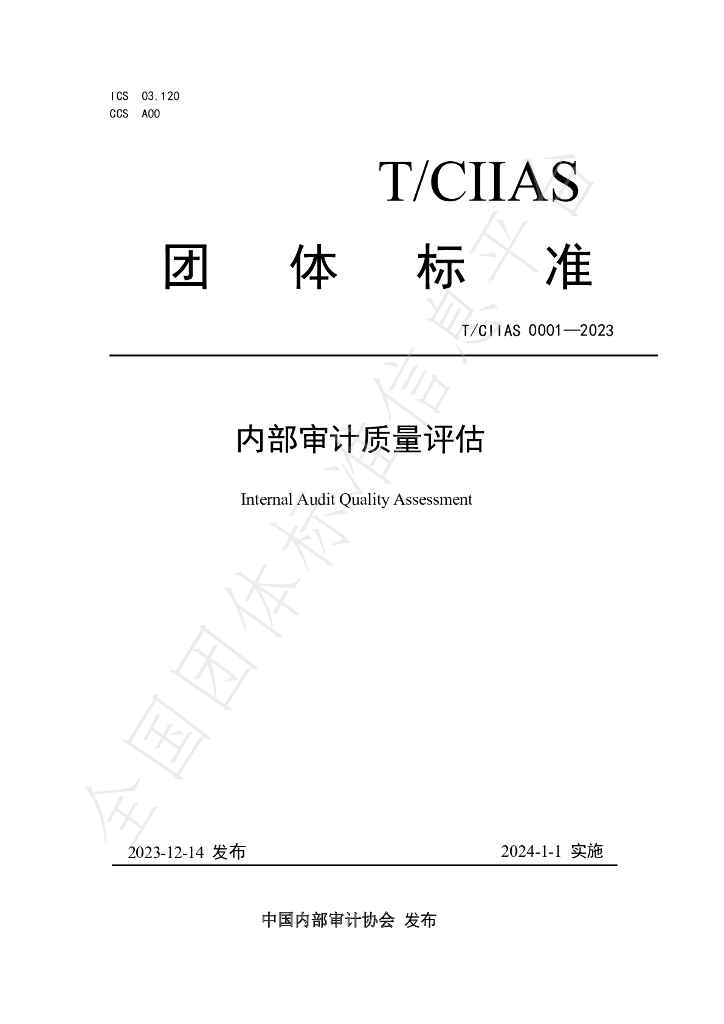T/CIIAS 0001-2023 标准预览